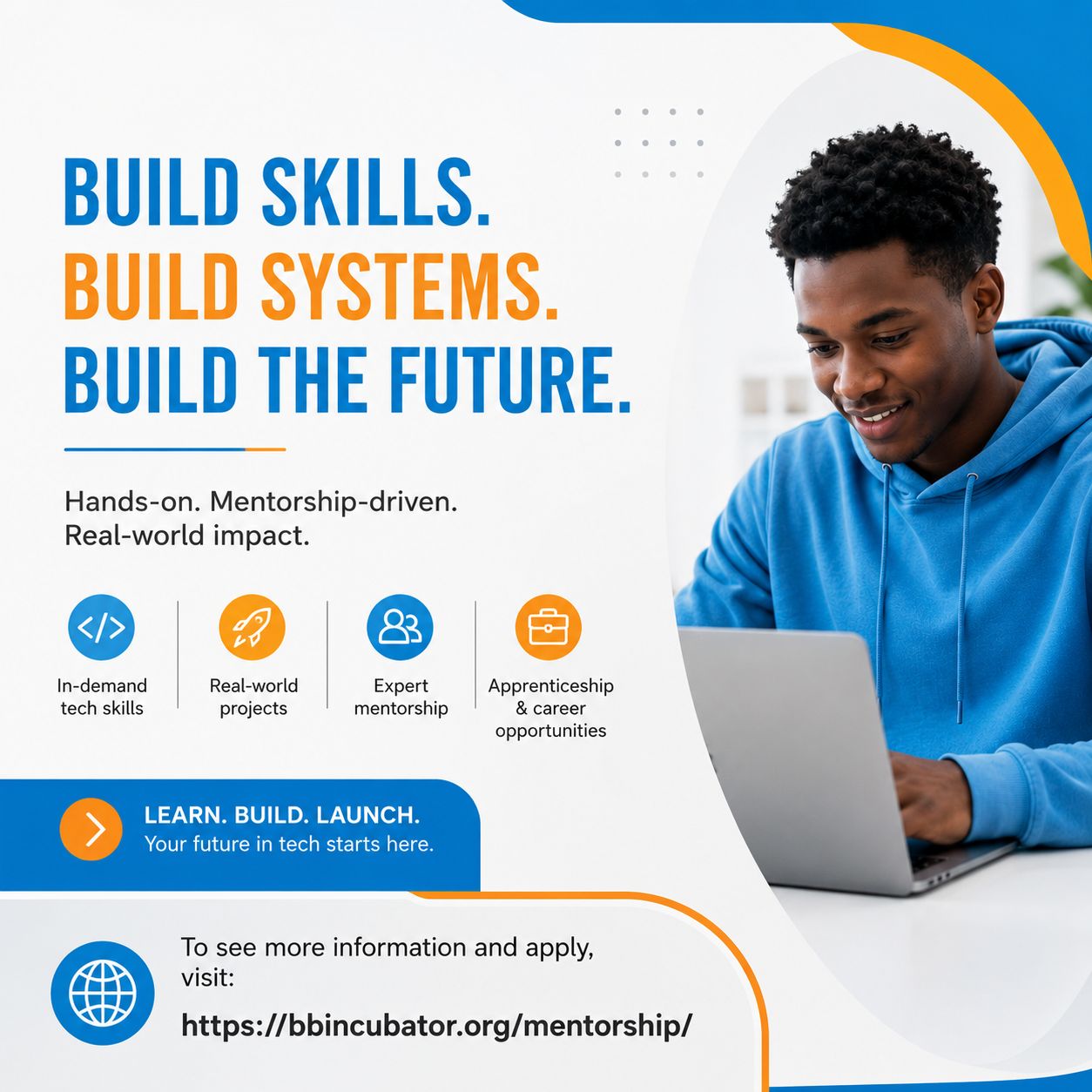 Professional Track (Mentorship)